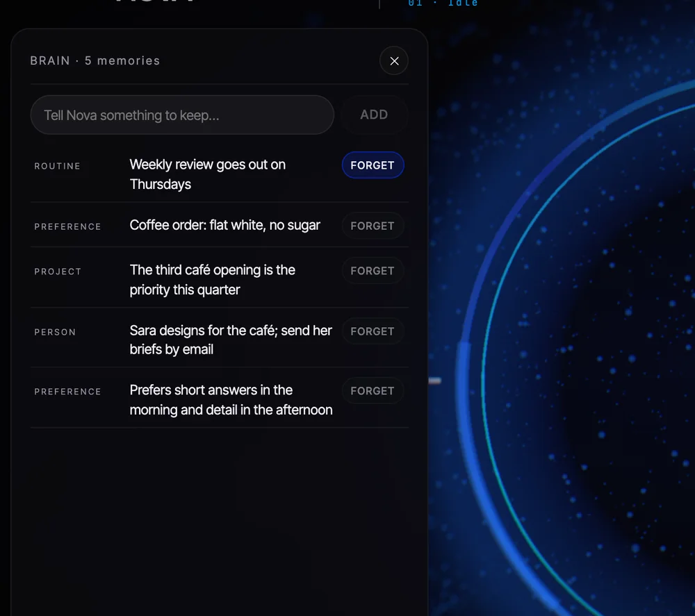 Nova's Memory panel with editable memories, each with a Forget button.